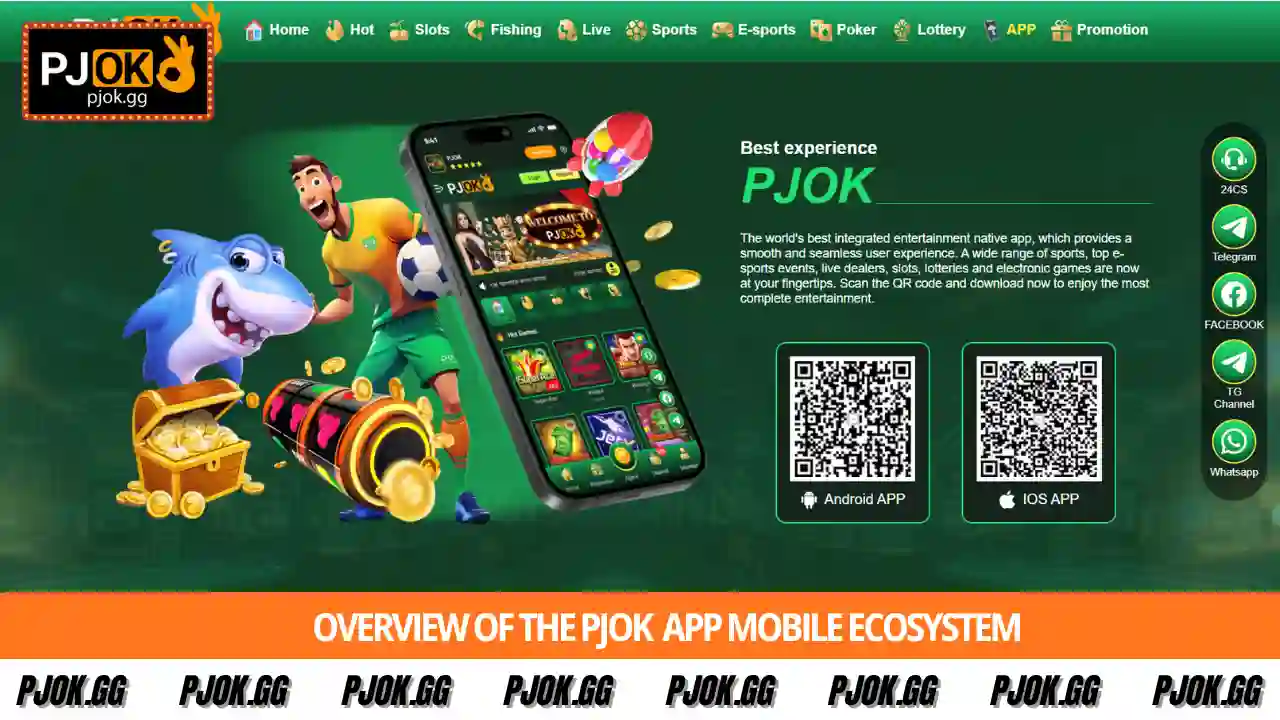 Overview of the PJOK mobile ecosystem