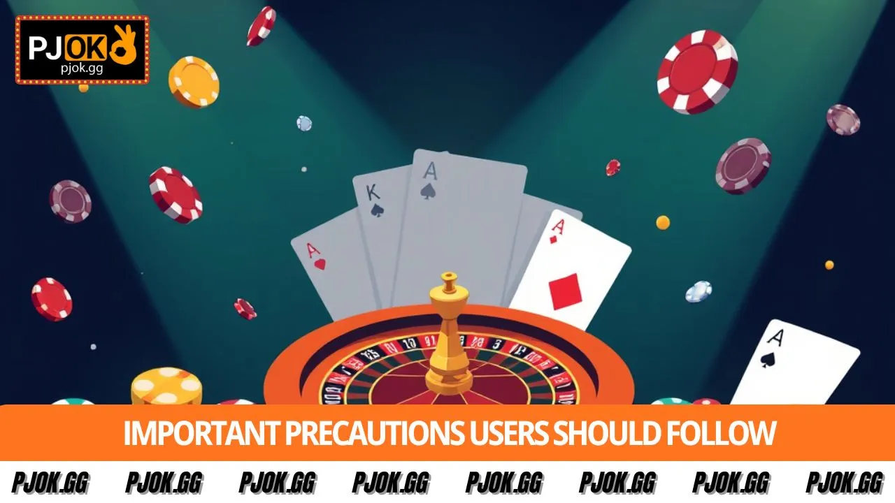 Important precautions users should follow