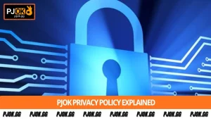PJOK Privacy Policy Explained – Understanding User Data
